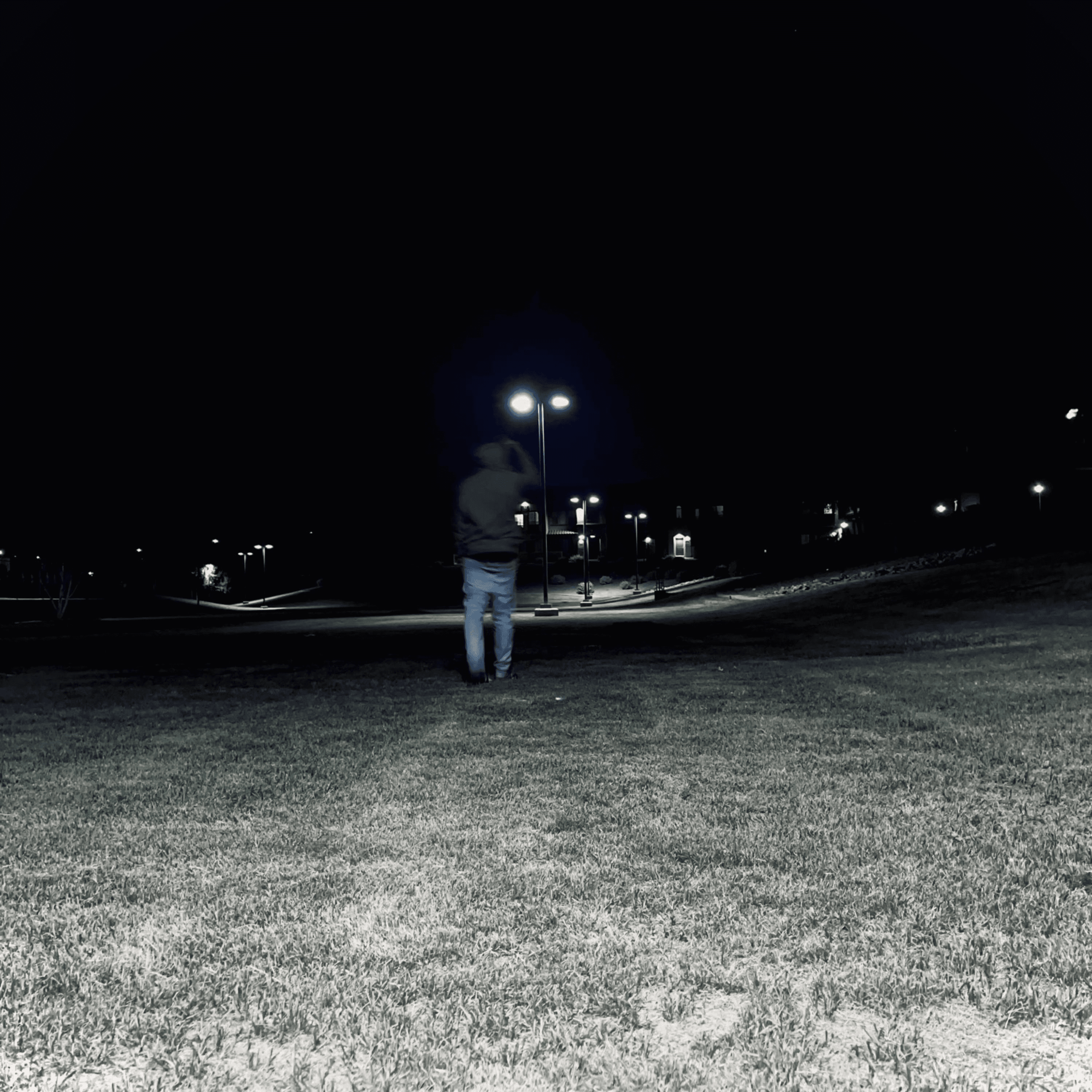 DarkRose